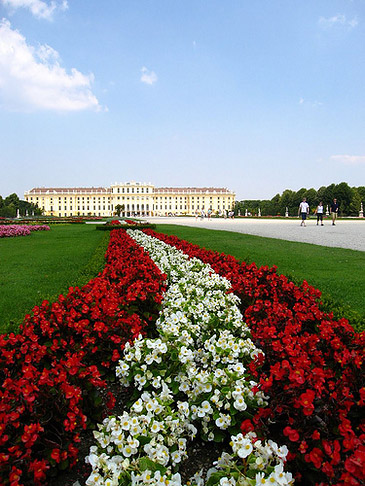 Schöner Blick auf Schloss Schönbrunn