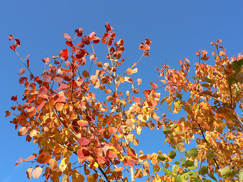 Sch&ouml;ner herbstlicher Wienerwald