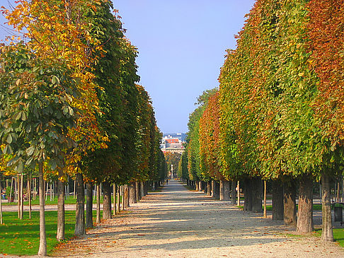 Foto Augarten - Wien