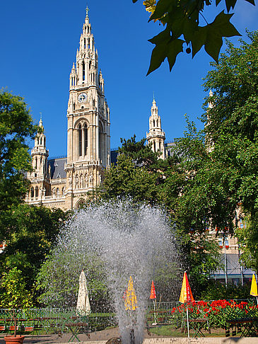 Rathaus - Wien (Wien)