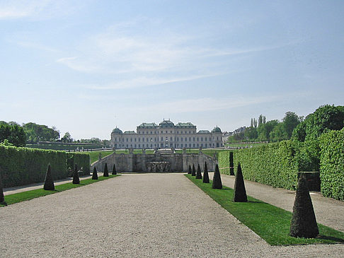 Galerie Belvedere - Wien (Wien)