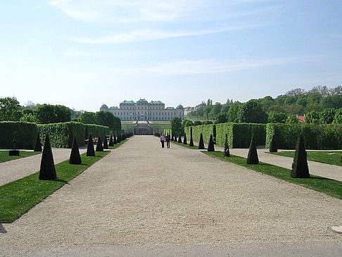 Galerie Belvedere - Wien (Wien)