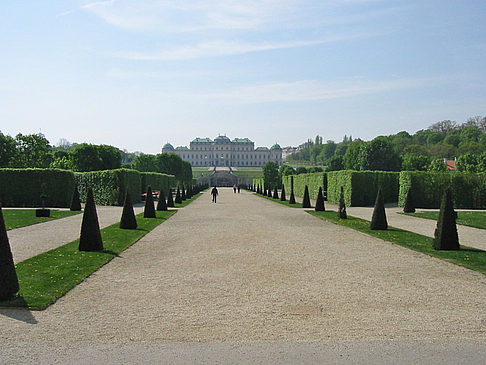Galerie Belvedere - Wien (Wien)