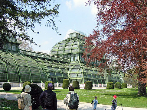 Schlossgarten des Schloss Schönbrunn - Wien (Wien)