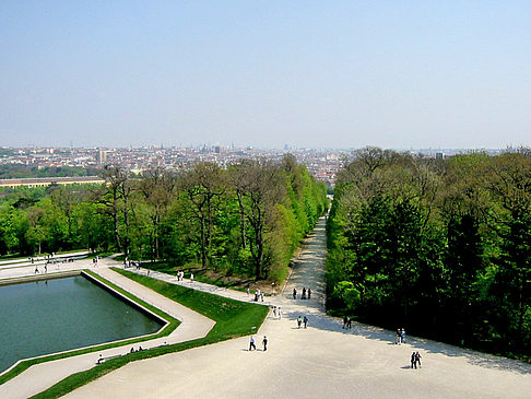 Schlossgarten des Schloss Schönbrunn - Wien (Wien)