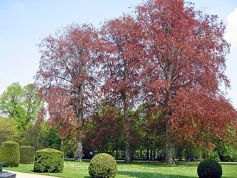 Schlossgarten des Schloss Schönbrunn - Wien (Wien)