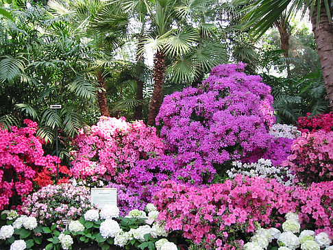 Schlossgarten des Schloss Schönbrunn - Wien (Wien)