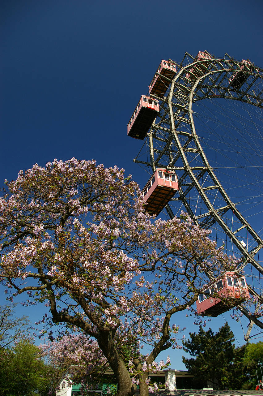  Bildansicht Sehenswürdigkeit  Der Wiener Prater im Frühling