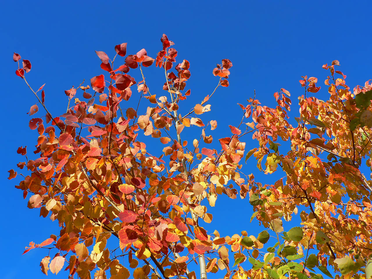 Wetter / Klima Bildansicht Attraktion  Schöner herbstlicher Wienerwald