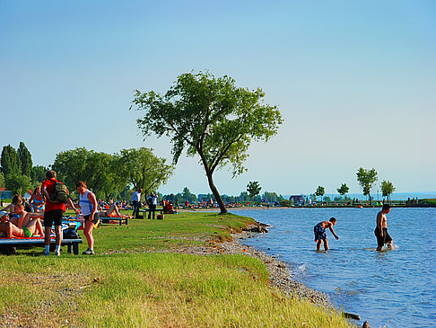 Neusiedler See Bild Attraktion  in Wien 