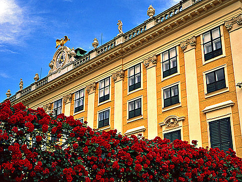 Schönbrunner Schloss  Ansicht Attraktion  