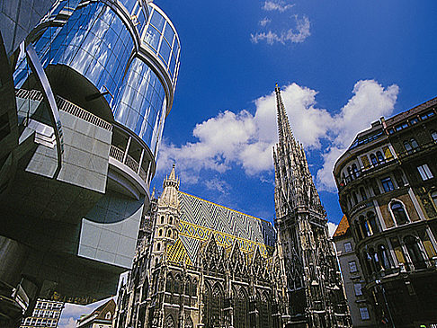 Stephansdom Bild Reiseführer  