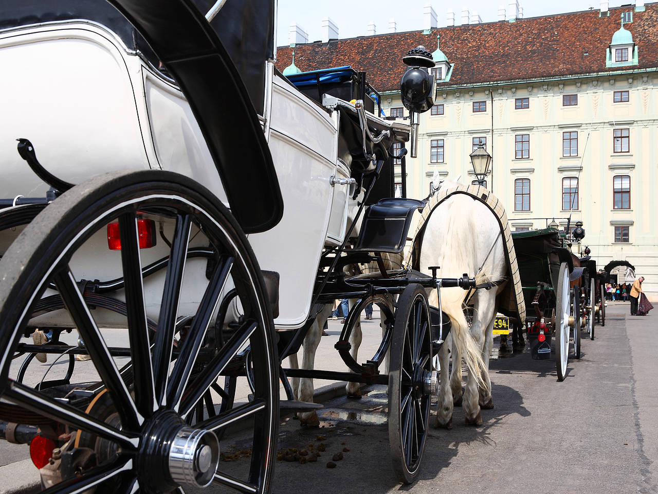  Impressionen Reiseführer  Schöne Fiaker am Wiener Heldenplatz