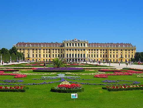 Ein Tag in Wien Foto 