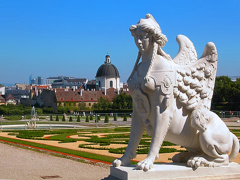 Fotos Schloss Belvedere