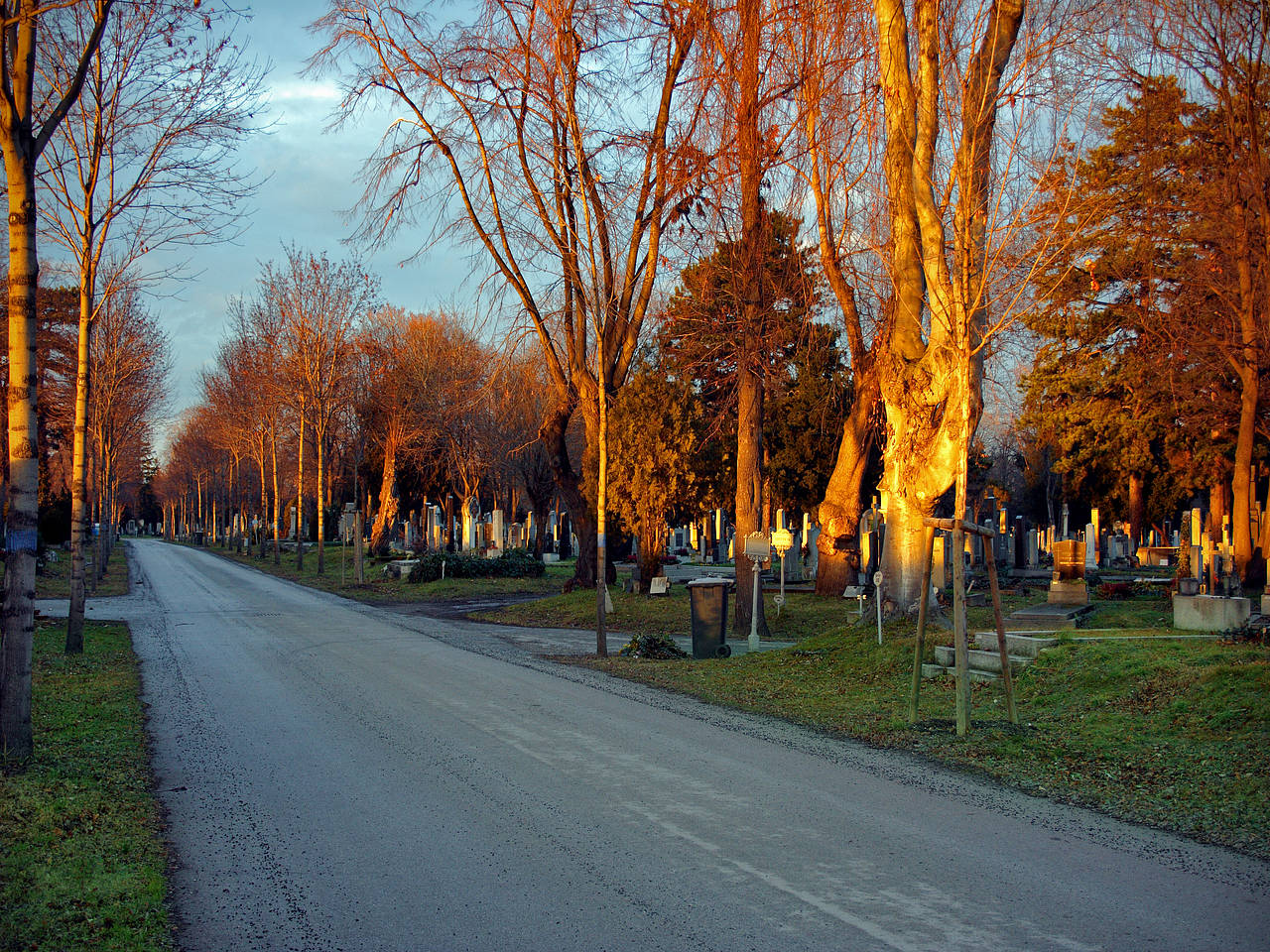 Zentralfriedhof Foto 