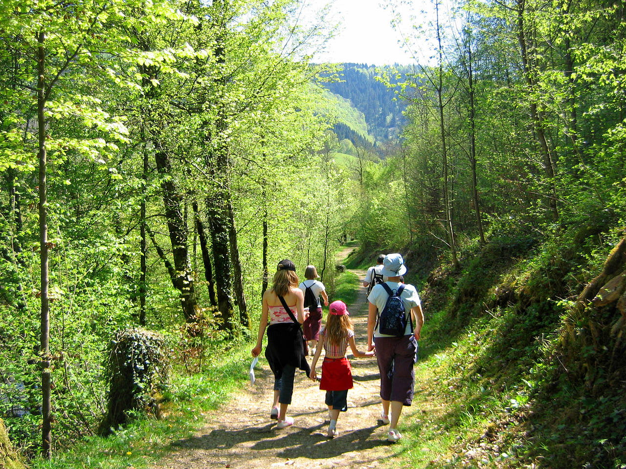 Fotos Waldpfade | Wien