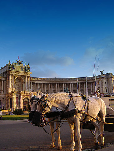 Ein Tag in Wien Foto 