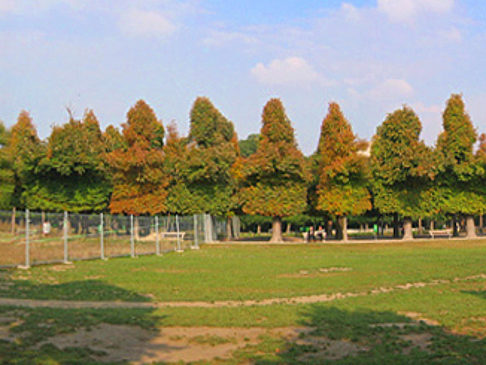 Augarten - Wien (Wien)