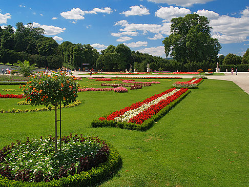 Schlosspark Foto 