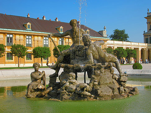 Foto Schönbrunner Schloss  - Wien