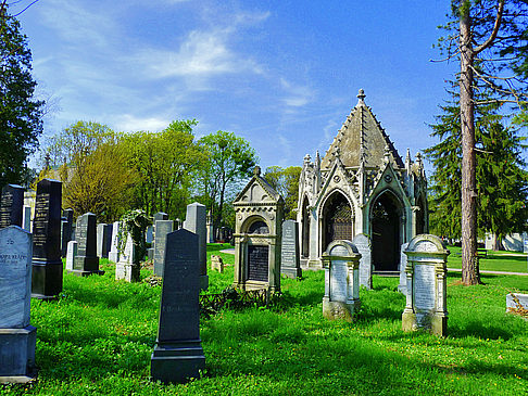 Zentralfriedhof - Wien (Wien)