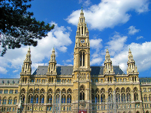 Rathaus - Wien (Wien)