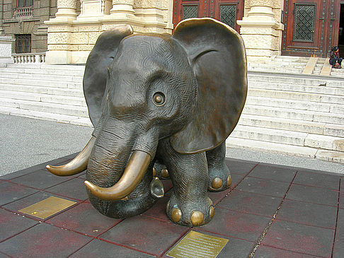 Rathauspark - Wien (Wien)